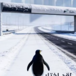 Dubai Salik viral campaign