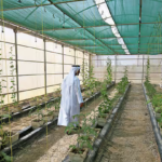 UAE agriculture exhibition farmers market 2026