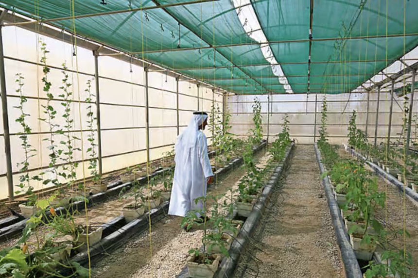 UAE agriculture exhibition farmers market 2026
