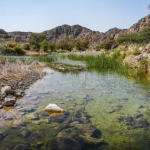 Wadi Wurayah UNESCO World Heritage Site