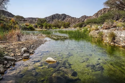 Wadi Wurayah UNESCO World Heritage Site