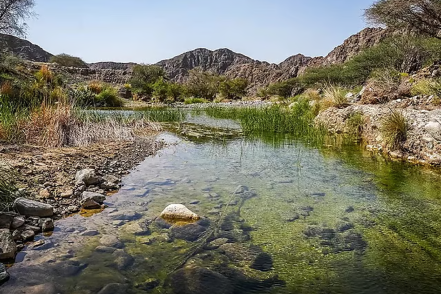 Wadi Wurayah UNESCO World Heritage Site