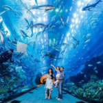 Underwater activities in Dubai