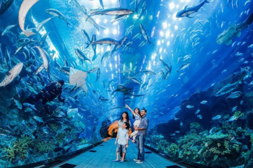 Underwater activities in Dubai