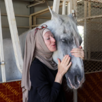 Yasmin Sayyed horse rescue