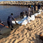 UAE oil spill update